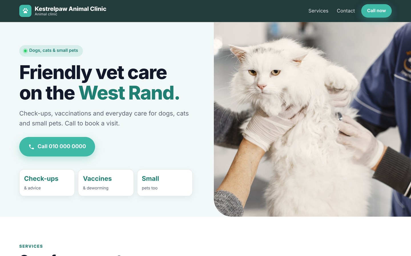 Concept website design for Kestrelpaw Animal Clinic, a fictional vet
